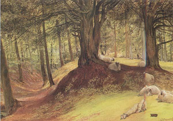 Richard Redgrave,RA Parkhurst Woods,Abinger (mk46) oil painting picture
